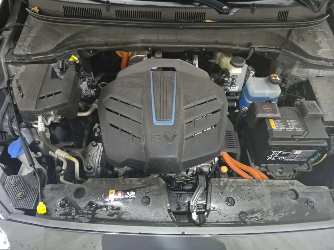 Hyundai Kona Fwd Ultimate * ���������� ��� ������������ ������* | Mobile.bg � ����������� 16