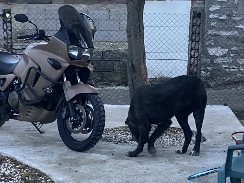 Honda Varadero 1000, снимка 4 - Мотоциклети и мототехника - 51676517