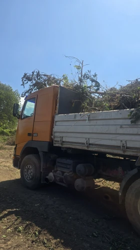 Volvo Fh 12, снимка 11