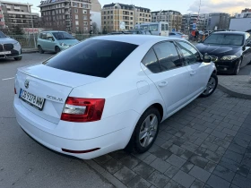 Skoda Octavia Vision N1 - 13900 € / 27186.04 лв. - 39974540 3