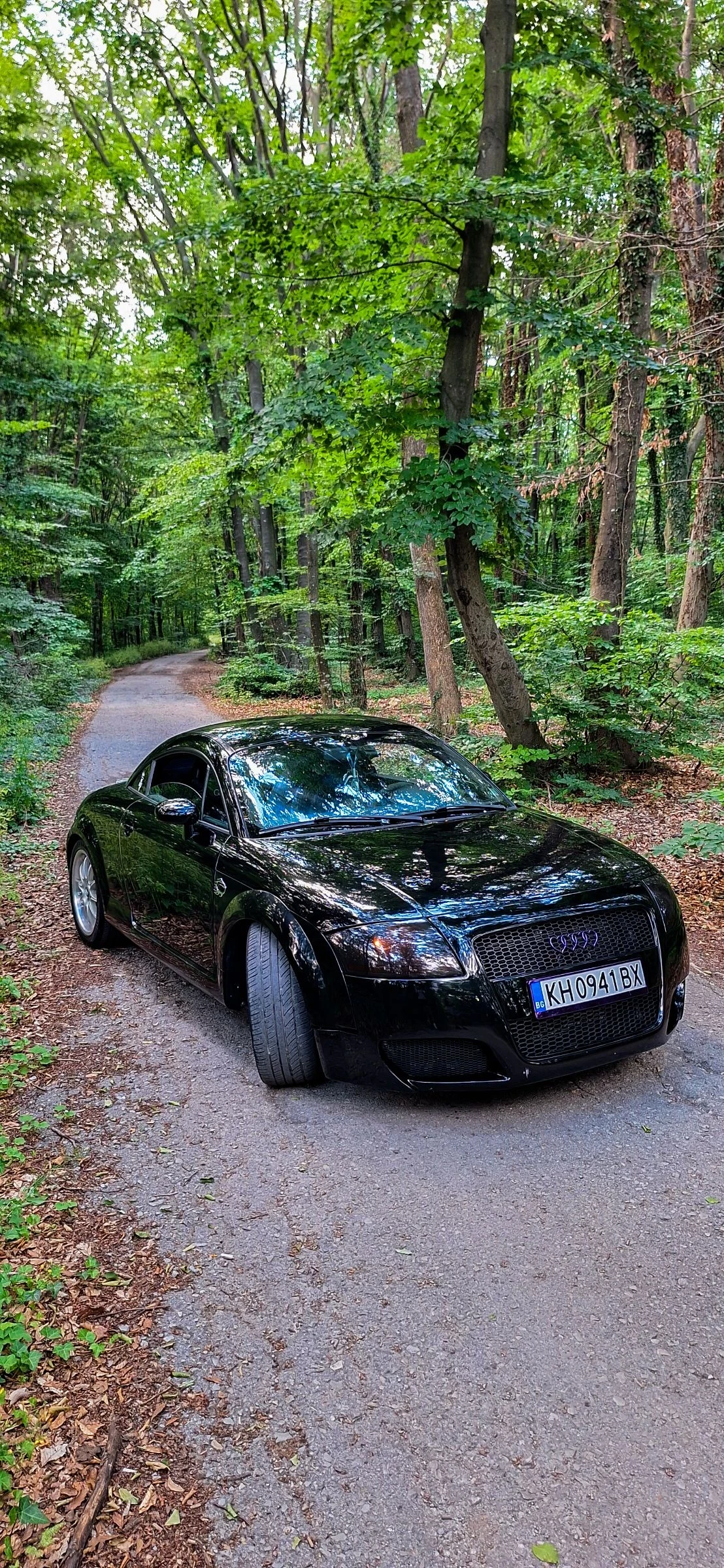 Audi Tt 1.8t , снимка 3 - Автомобили и джипове - 55090929