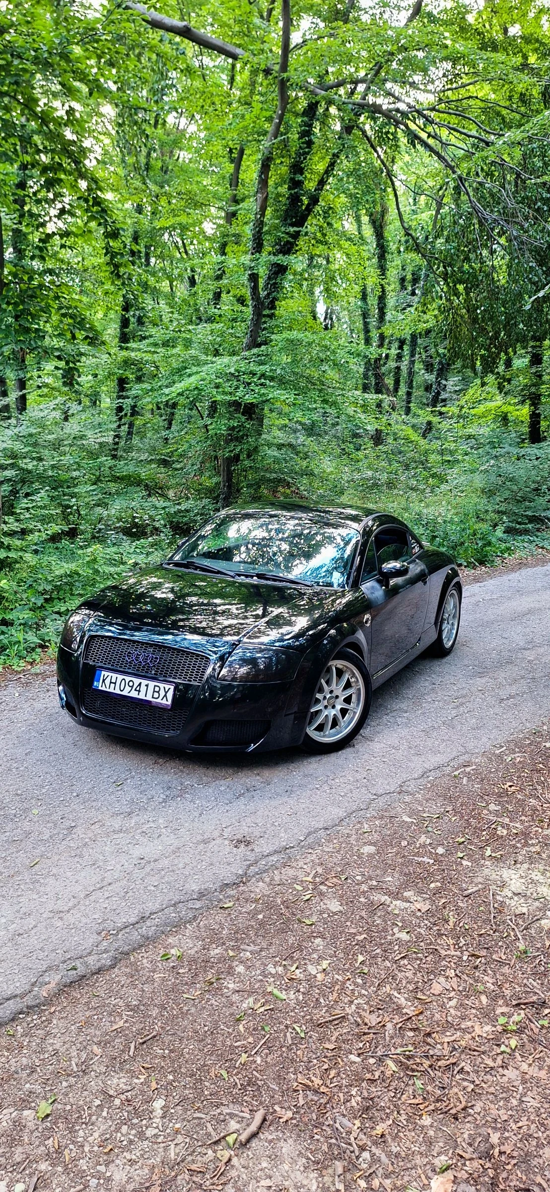 Audi Tt 1.8t , снимка 2 - Автомобили и джипове - 55090929