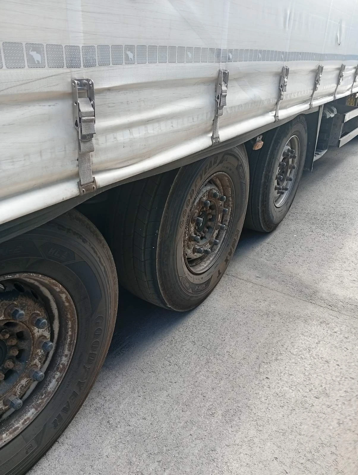  Schmitz SCB S3T | Mobile.bg   11