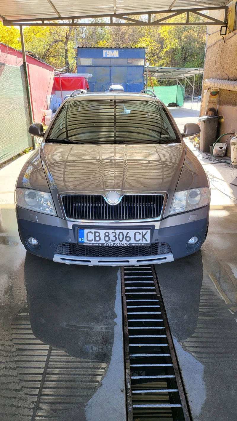 Skoda Octavia Скаут