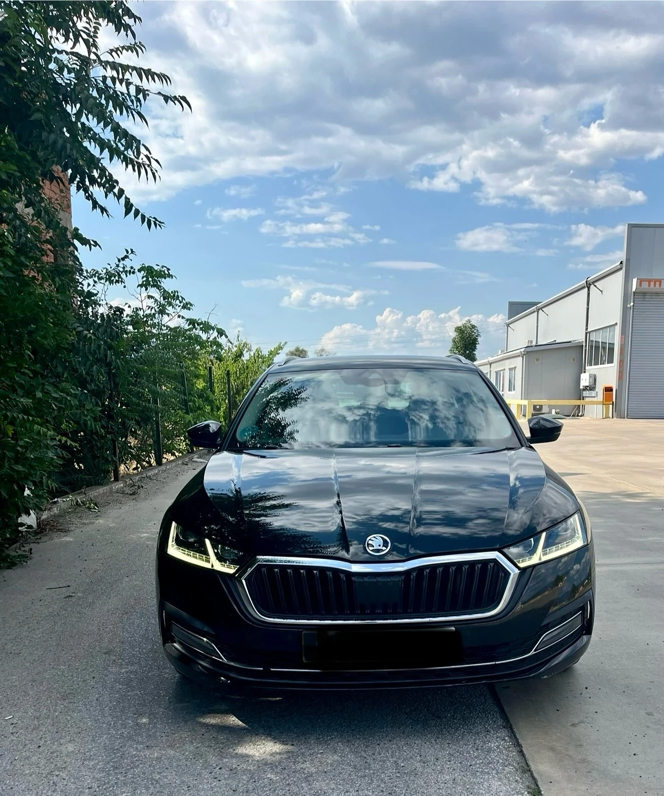 Skoda Octavia  - изображение 8