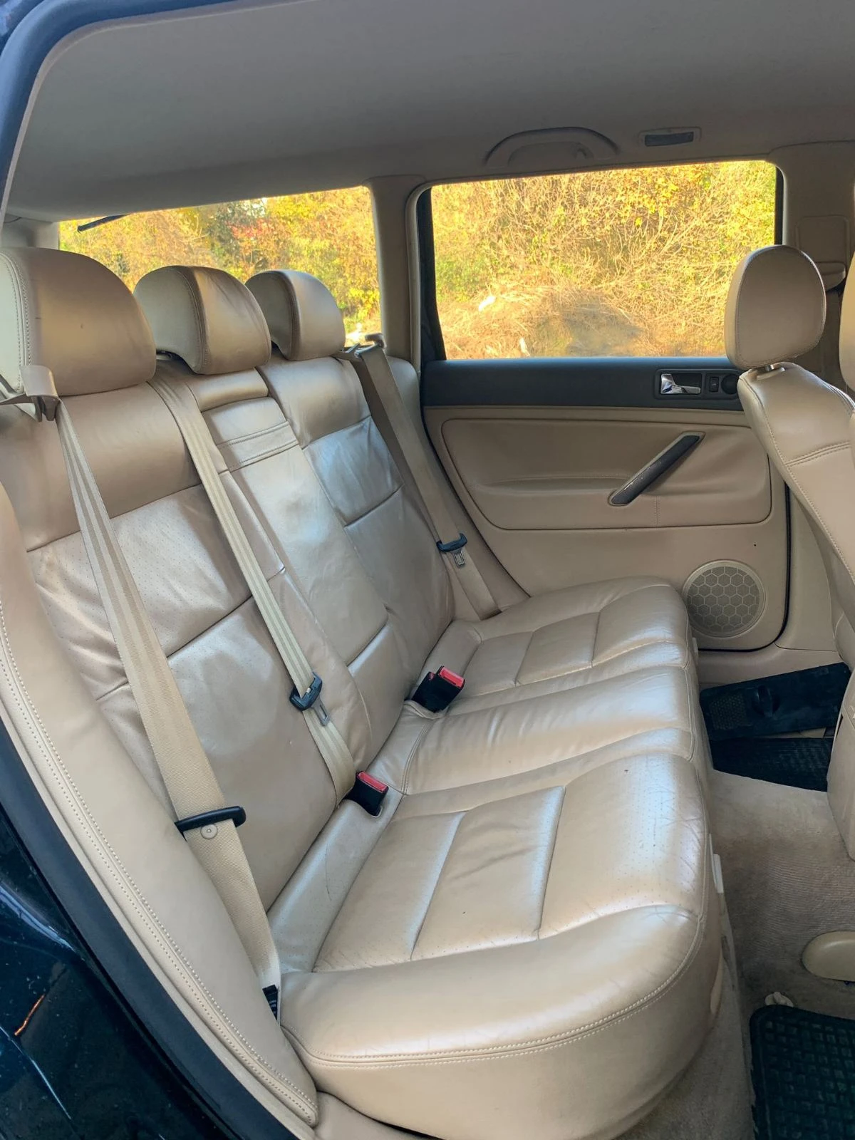 VW Passat  Passat B5.5  | Mobile.bg   10