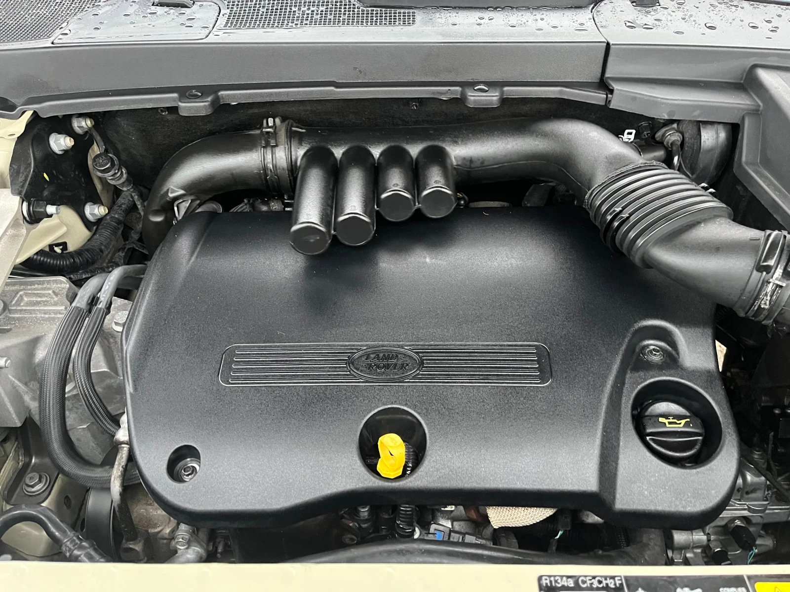 Land Rover Freelander 2.2TDI-160-FEIS-ITALIA | Mobile.bg   15