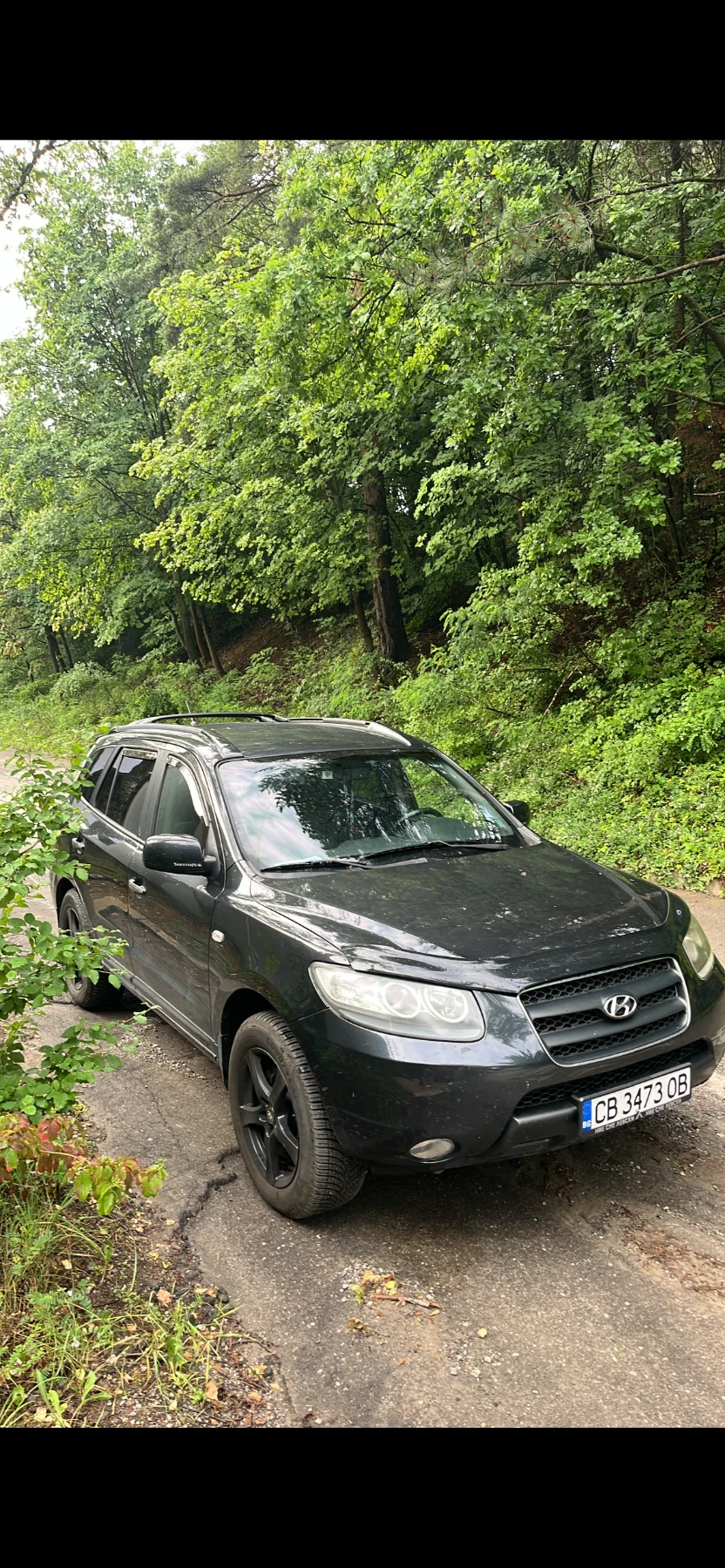 Hyundai Santa fe 2.2 crdi, снимка 7 - Автомобили и джипове - 56559349