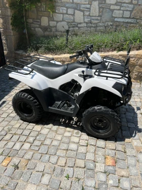 Kawasaki Brute Force, снимка 2