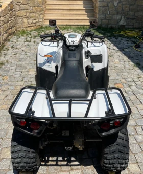 Kawasaki Brute Force, снимка 10
