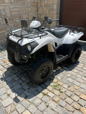 Kawasaki Brute Force, снимка 11