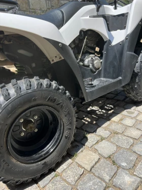 Kawasaki Brute Force, снимка 6