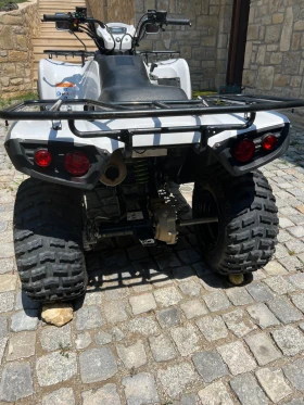 Kawasaki Brute Force | Mobile.bg � ����� ������ 9