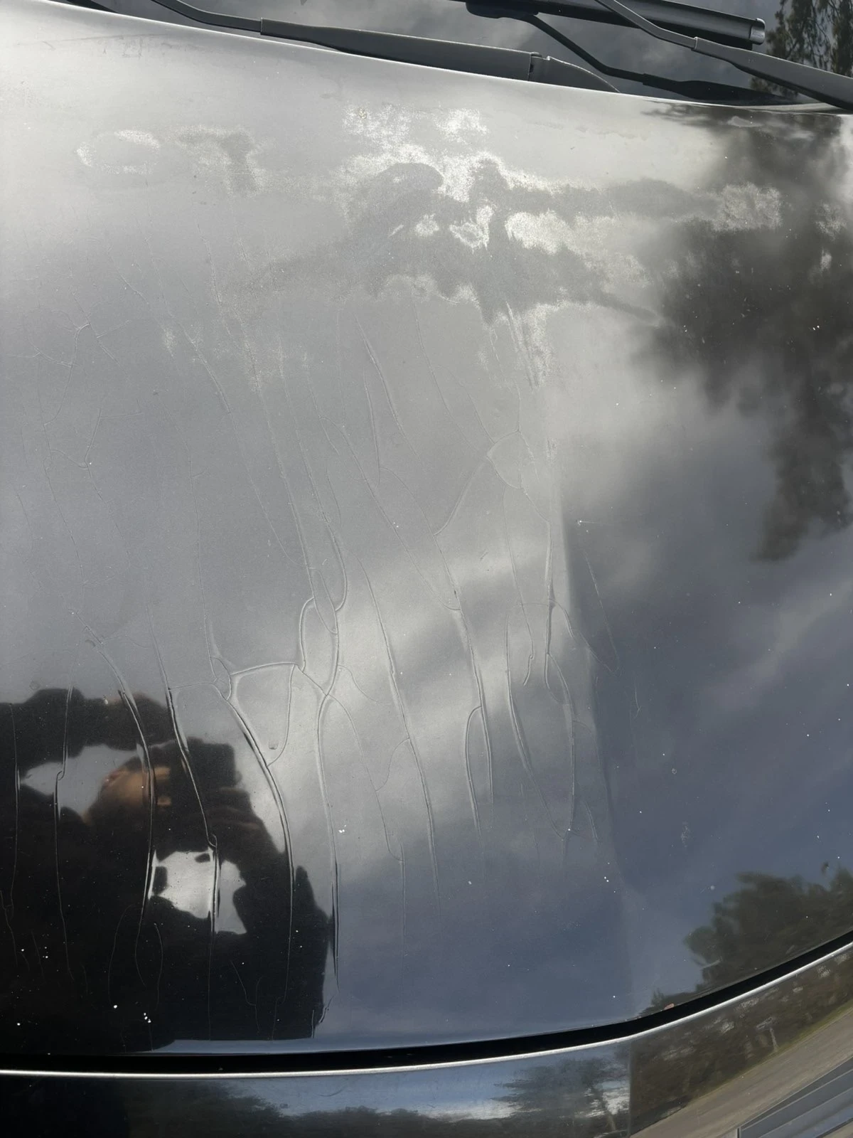 Renault Megane Karmann, снимка 10 - Автомобили и джипове - 54230205