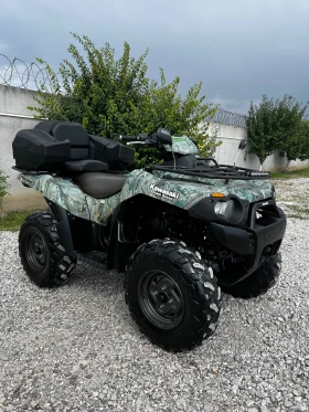     Kawasaki Brute Force