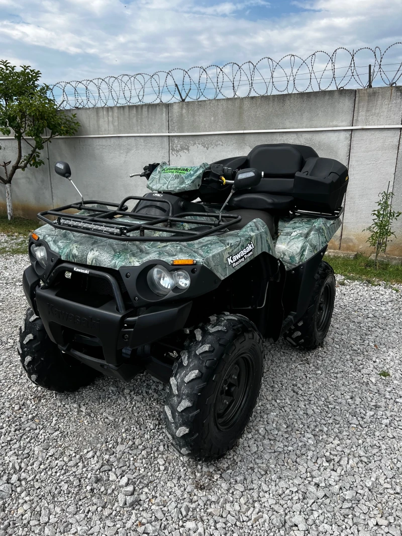 Kawasaki Brute Force