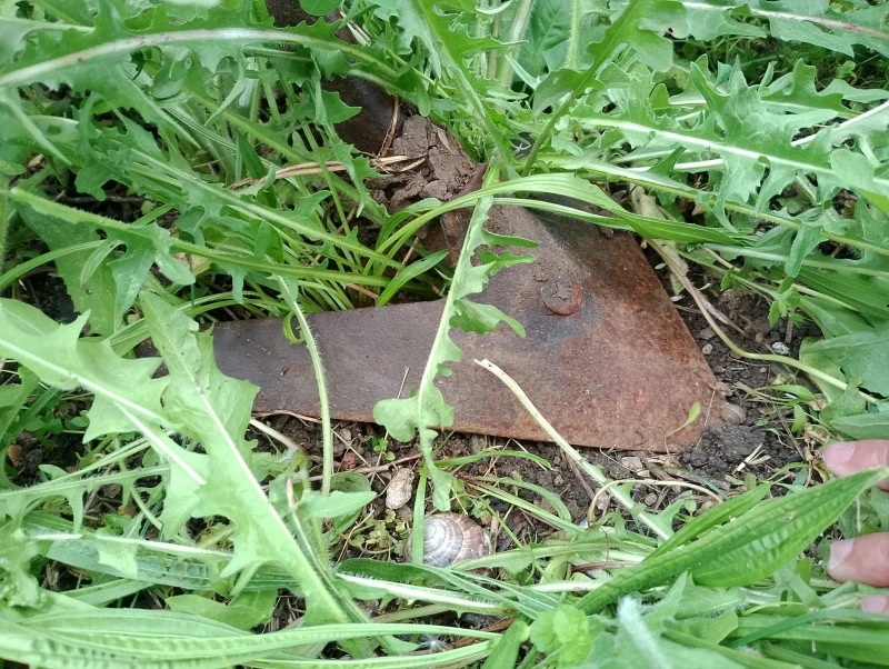 Трактор Т 25 А, снимка 15 - Селскостопанска техника - 52299282