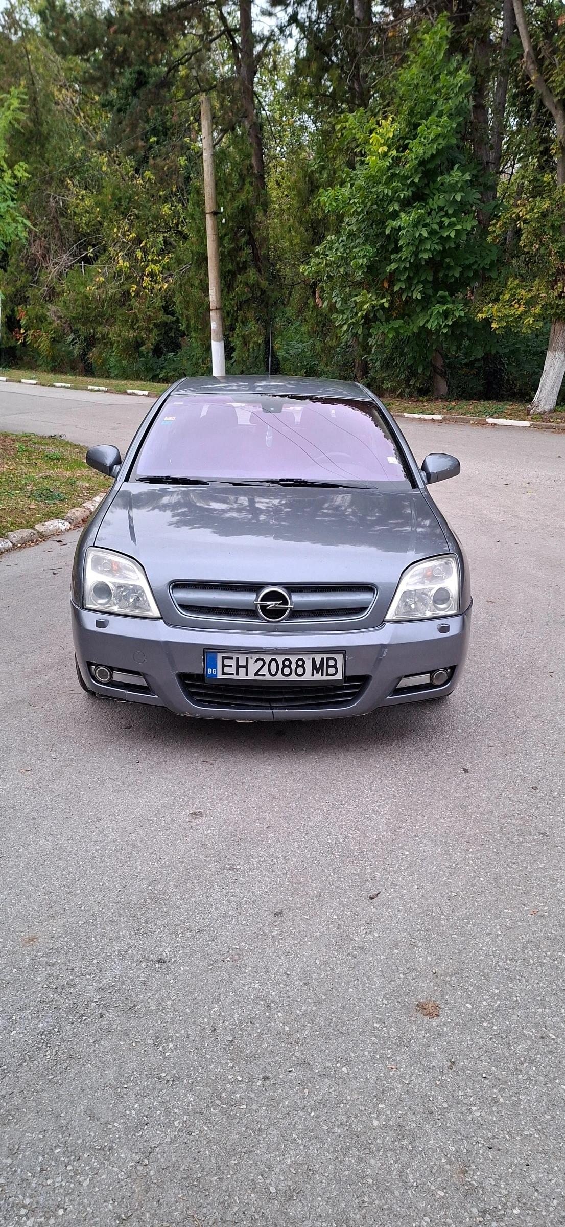 Opel Signum 1