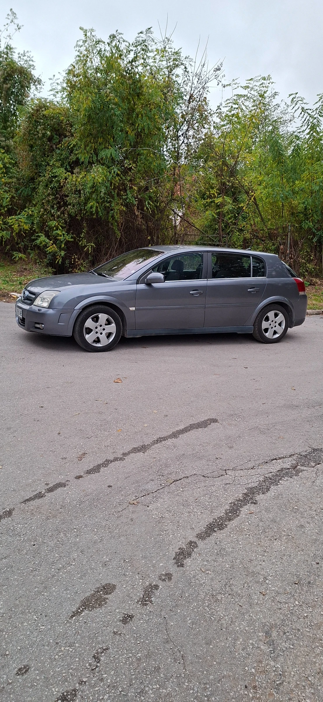 Opel Signum 1, снимка 3 - Автомобили и джипове - 56737041