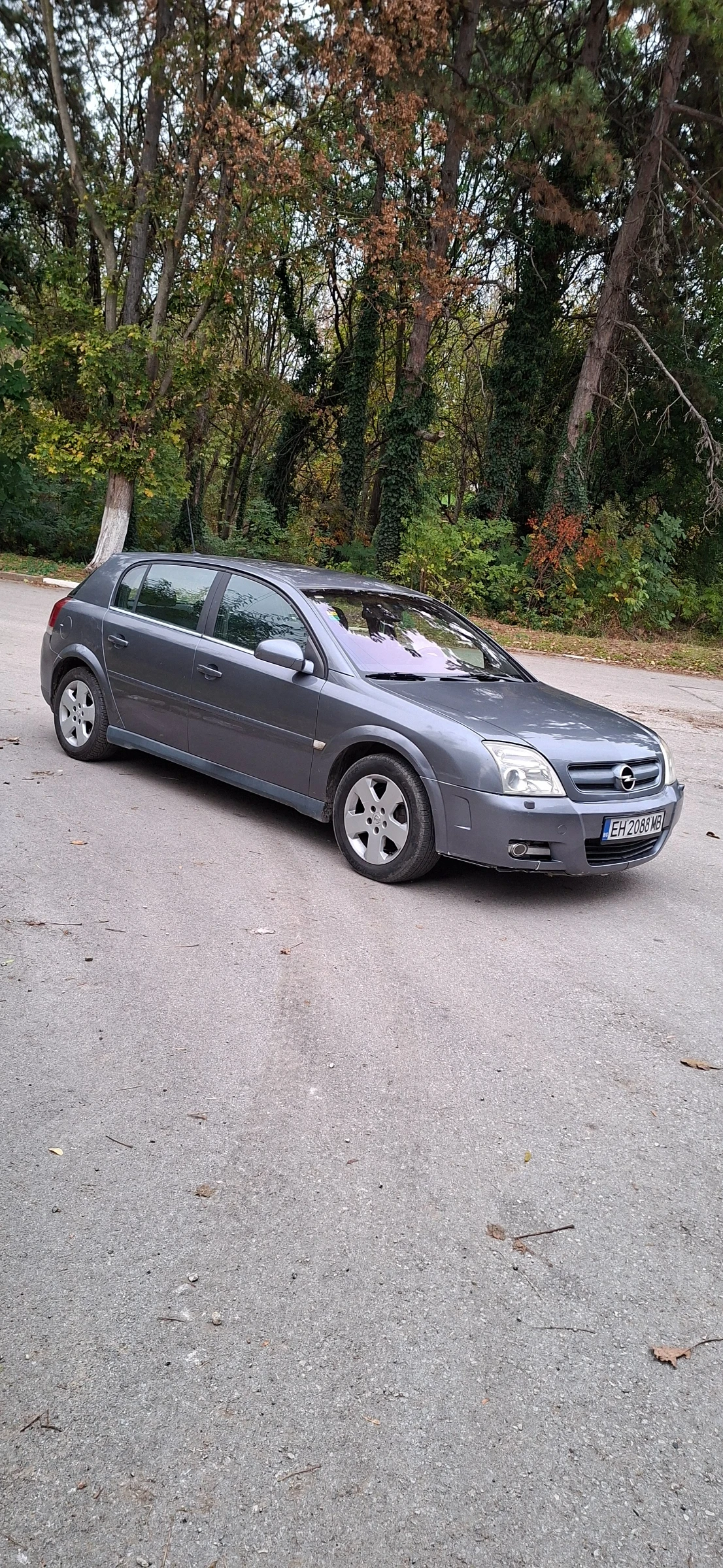 Opel Signum 1, снимка 2 - Автомобили и джипове - 56737041