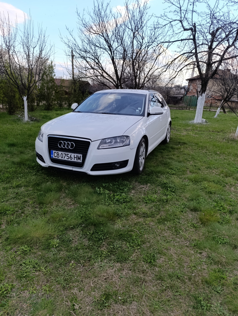 Audi A3 1.9tdi 131к.с