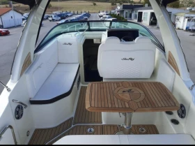       Sea Ray 265