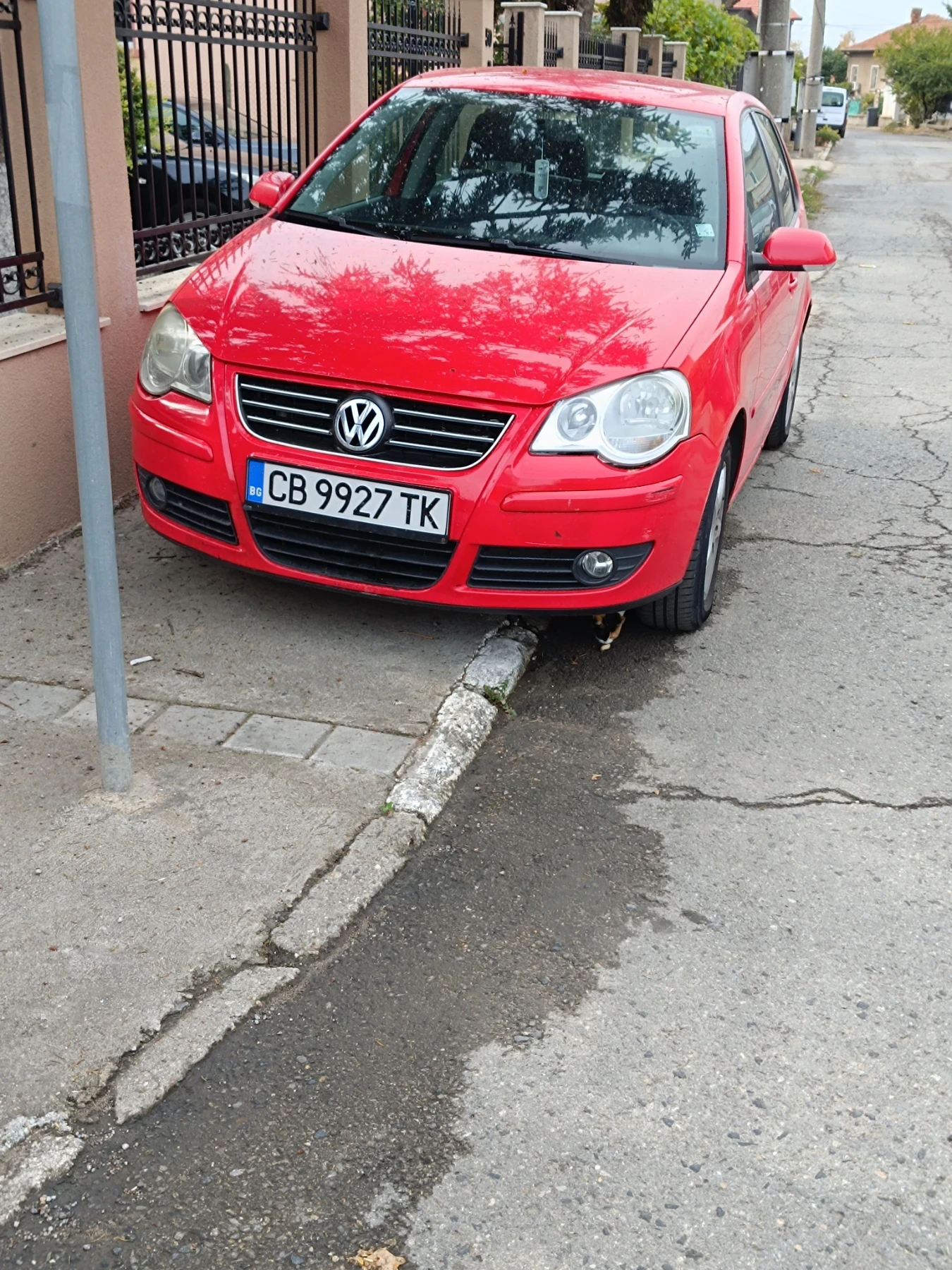 VW Polo