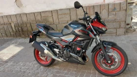  Kawasaki Z