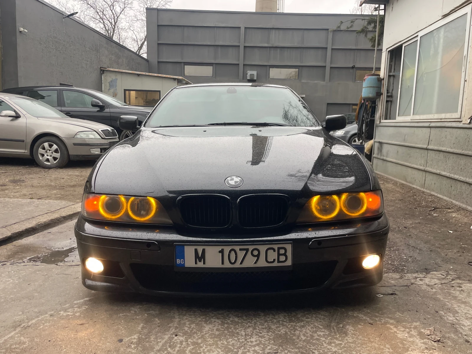 BMW 525 undefined | Auto.bg — изображение 1