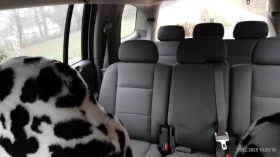 Dodge Durango, снимка 6