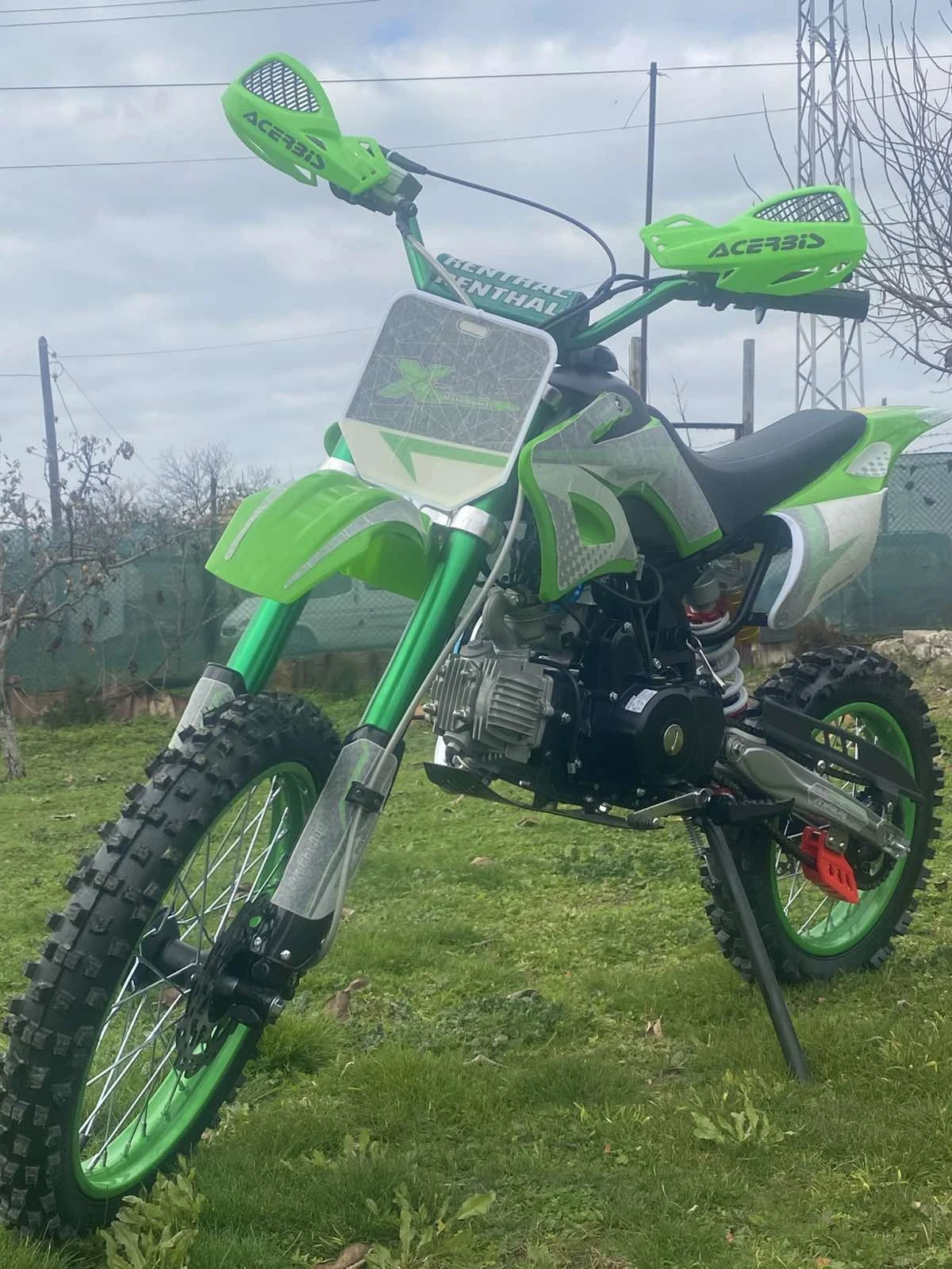 Bashan BS  - изображение 4