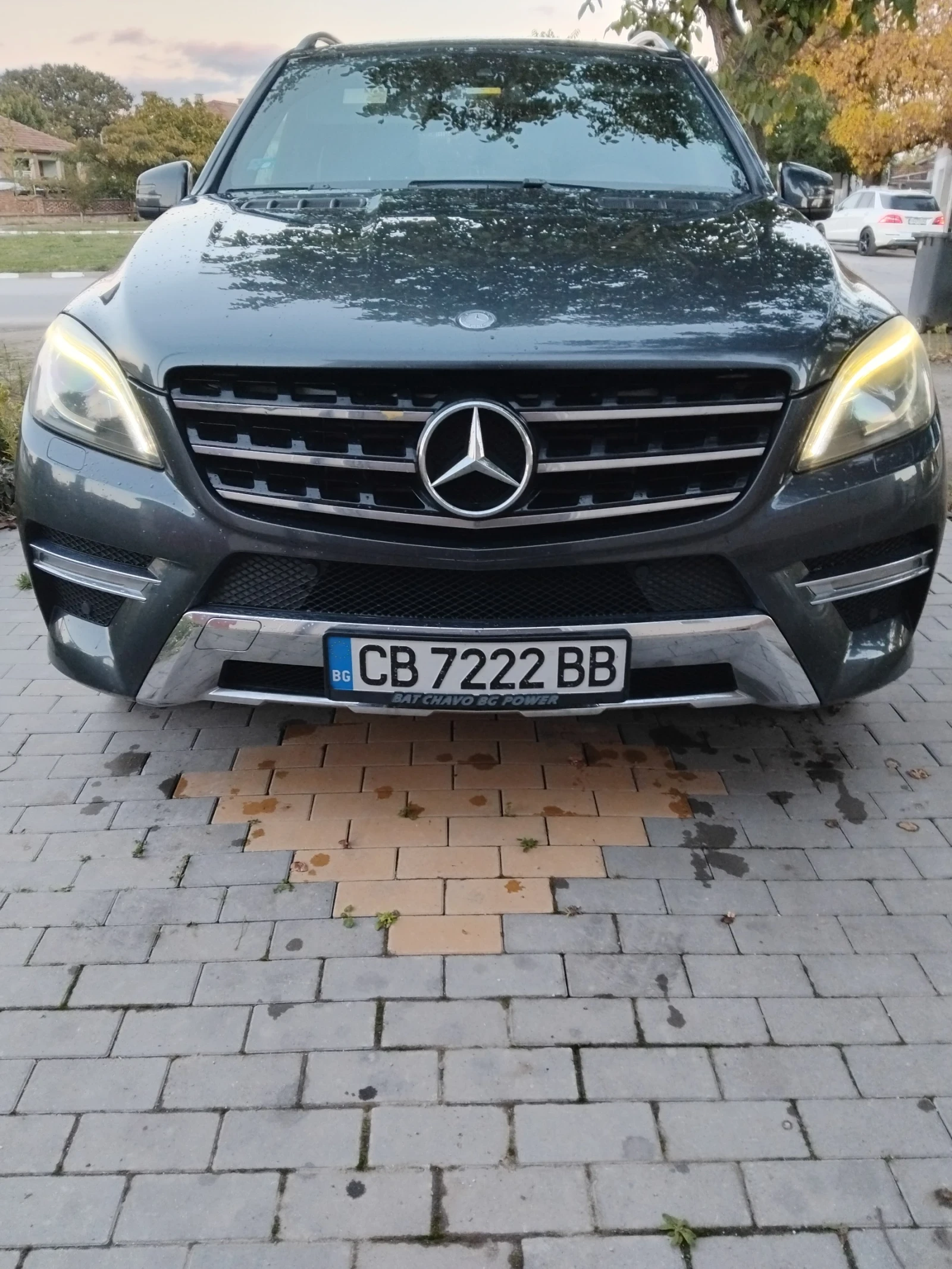 Mercedes-Benz ML 350 350 BLUTEK