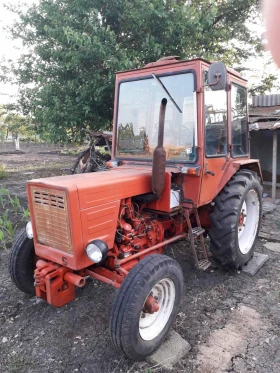       T25