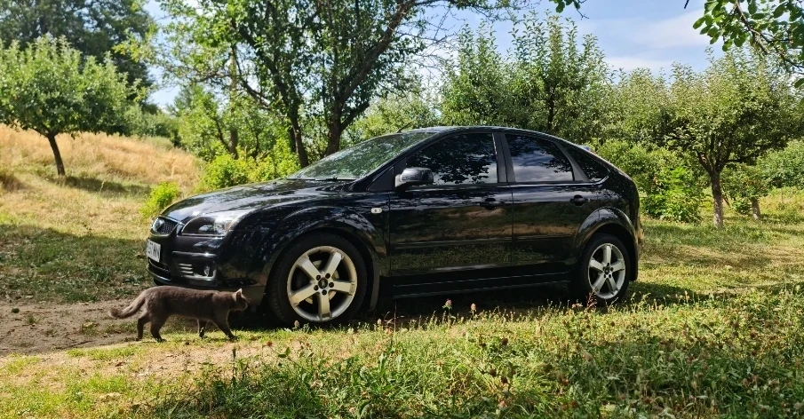 Ford Focus Zetec - изображение 3