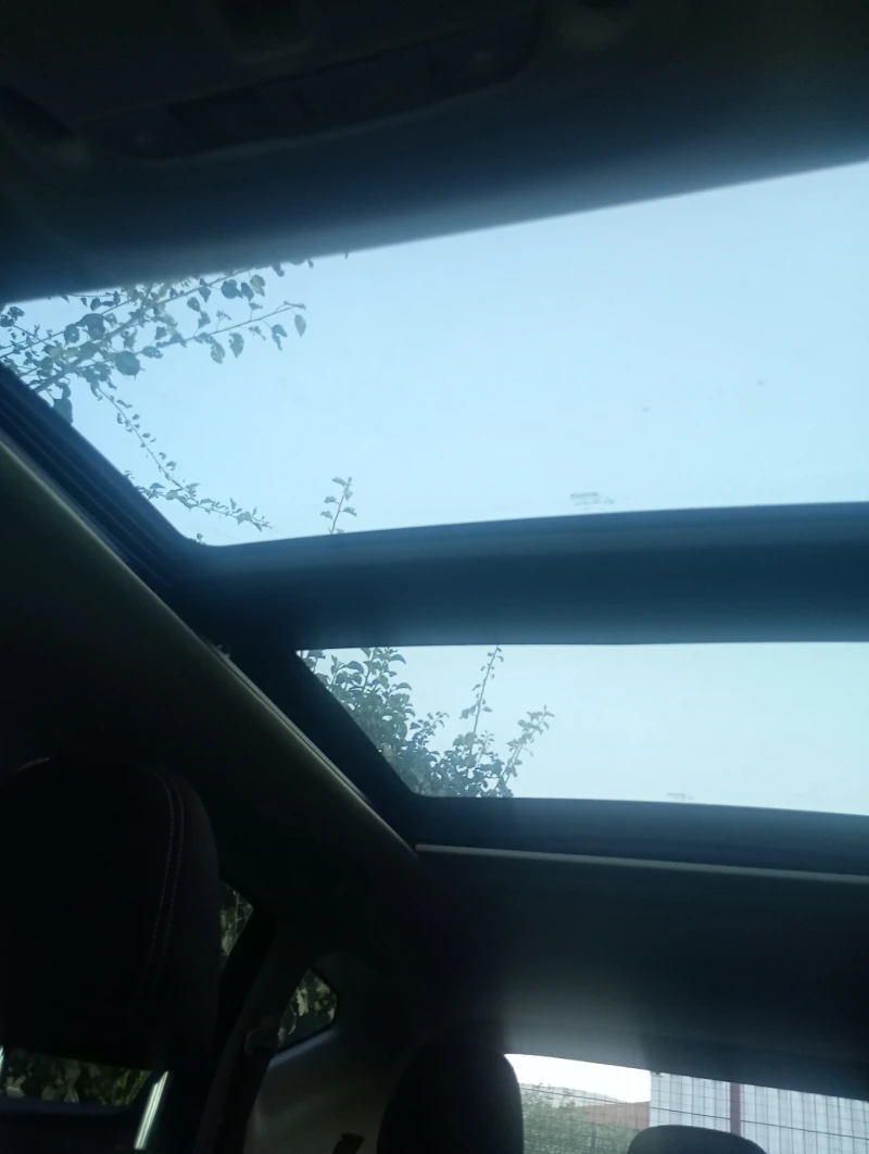 Nissan Murano SV Platinium, снимка 9 - Автомобили и джипове - 52394550