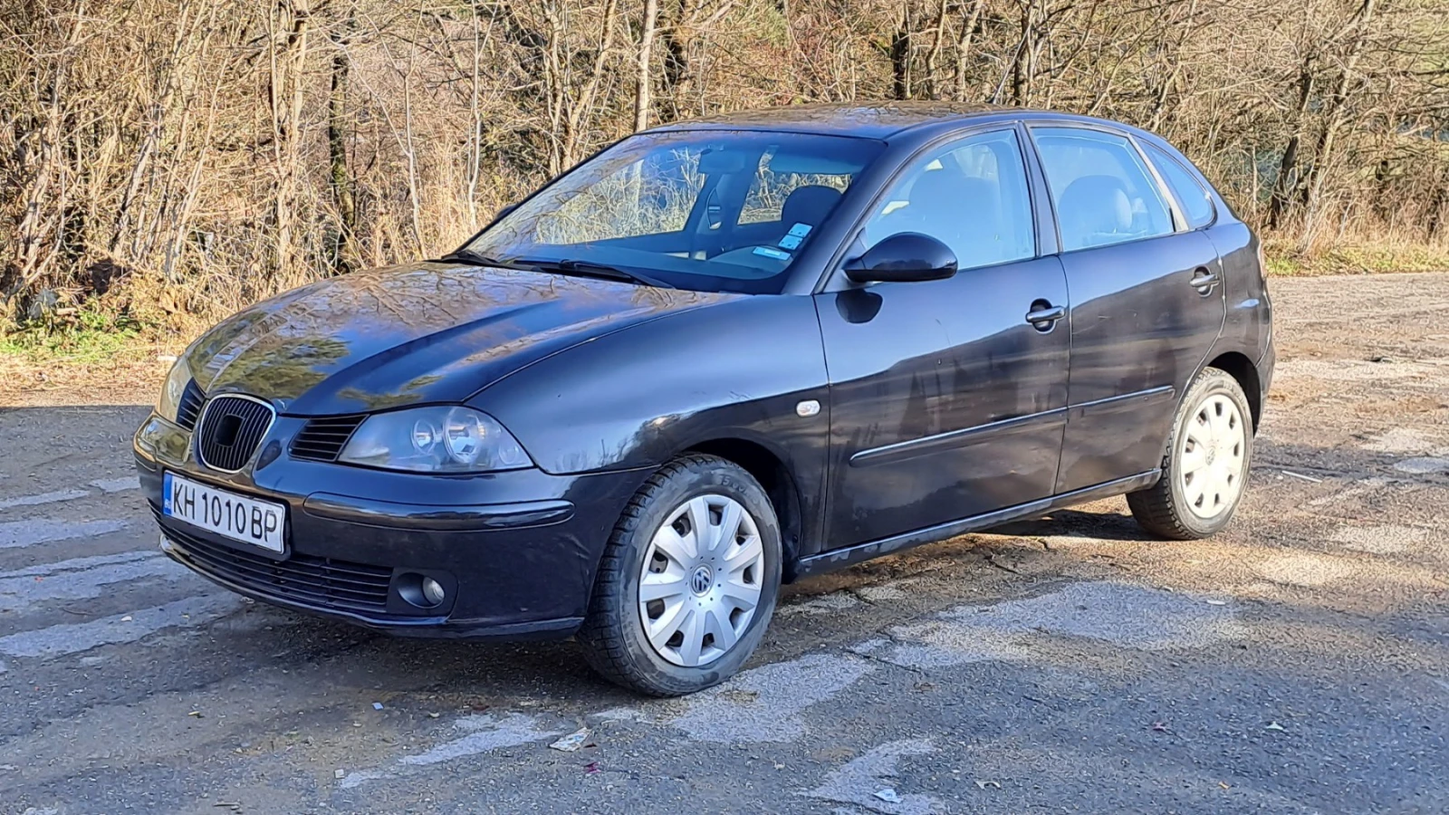 Seat Ibiza 1.4 TDI - изображение 3