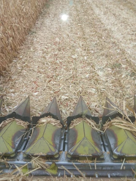 Хедер Метарем ПЦР, снимка 2