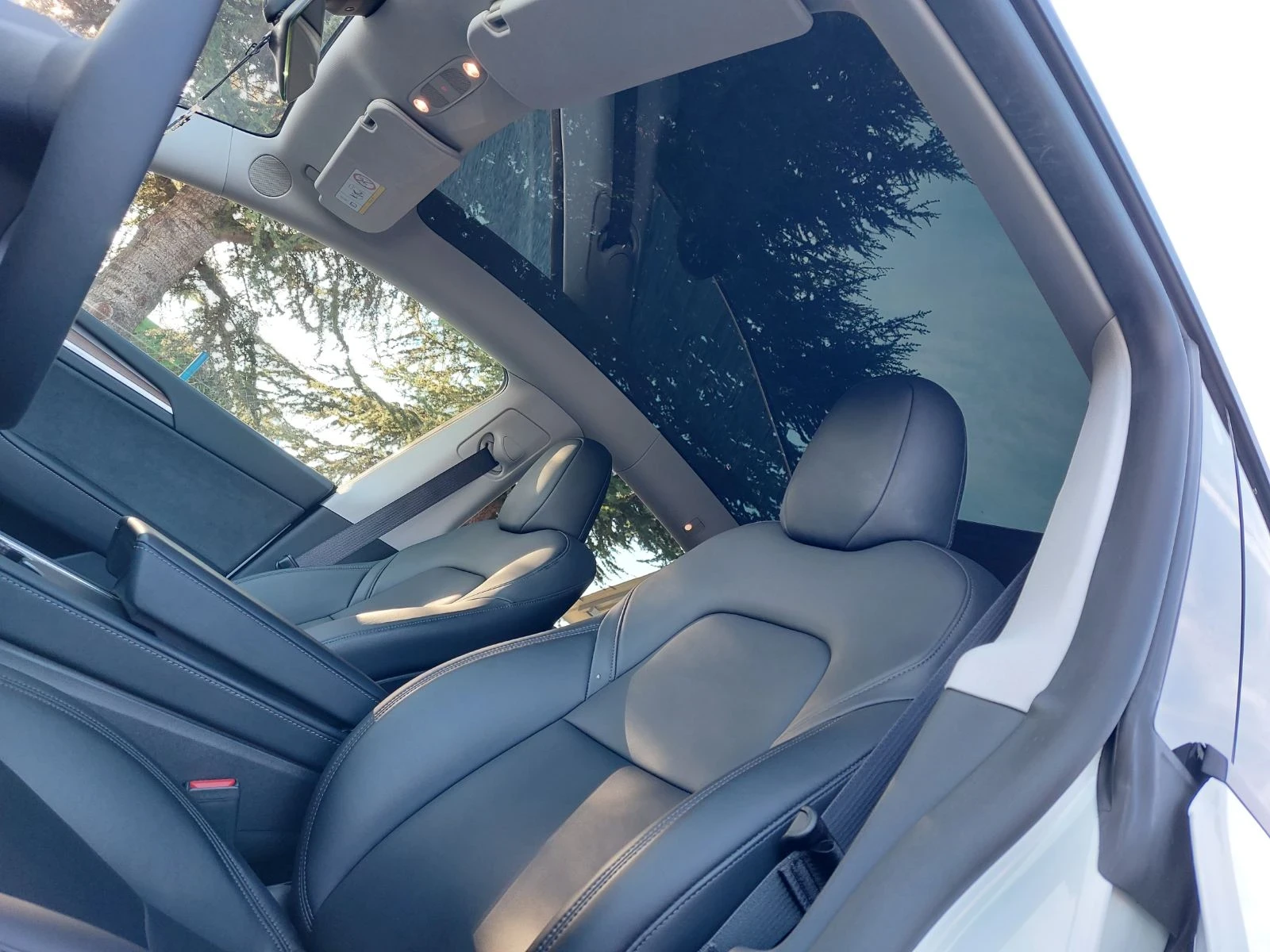 Tesla Model Y RWD LFP, снимка 10 - Автомобили и джипове - 56607983