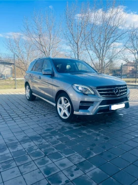 Mercedes-Benz ML 250 AMG pack, снимка 1