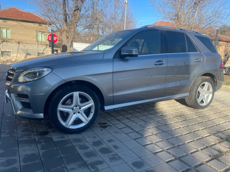 Mercedes-Benz ML 250 AMG pack, снимка 2 - Автомобили и джипове - 48632240