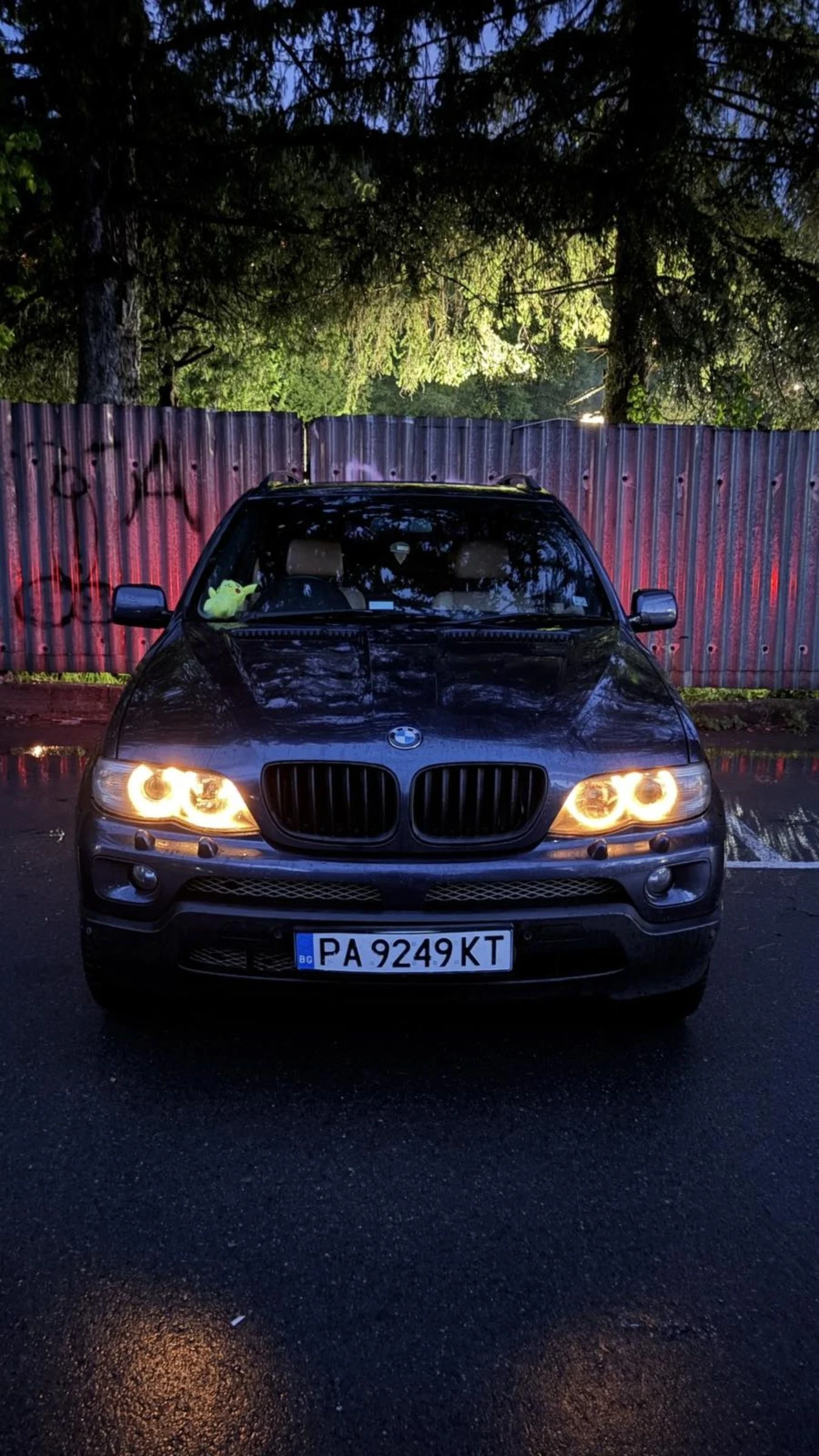 BMW X5, снимка 3 - Автомобили и джипове - 54577023