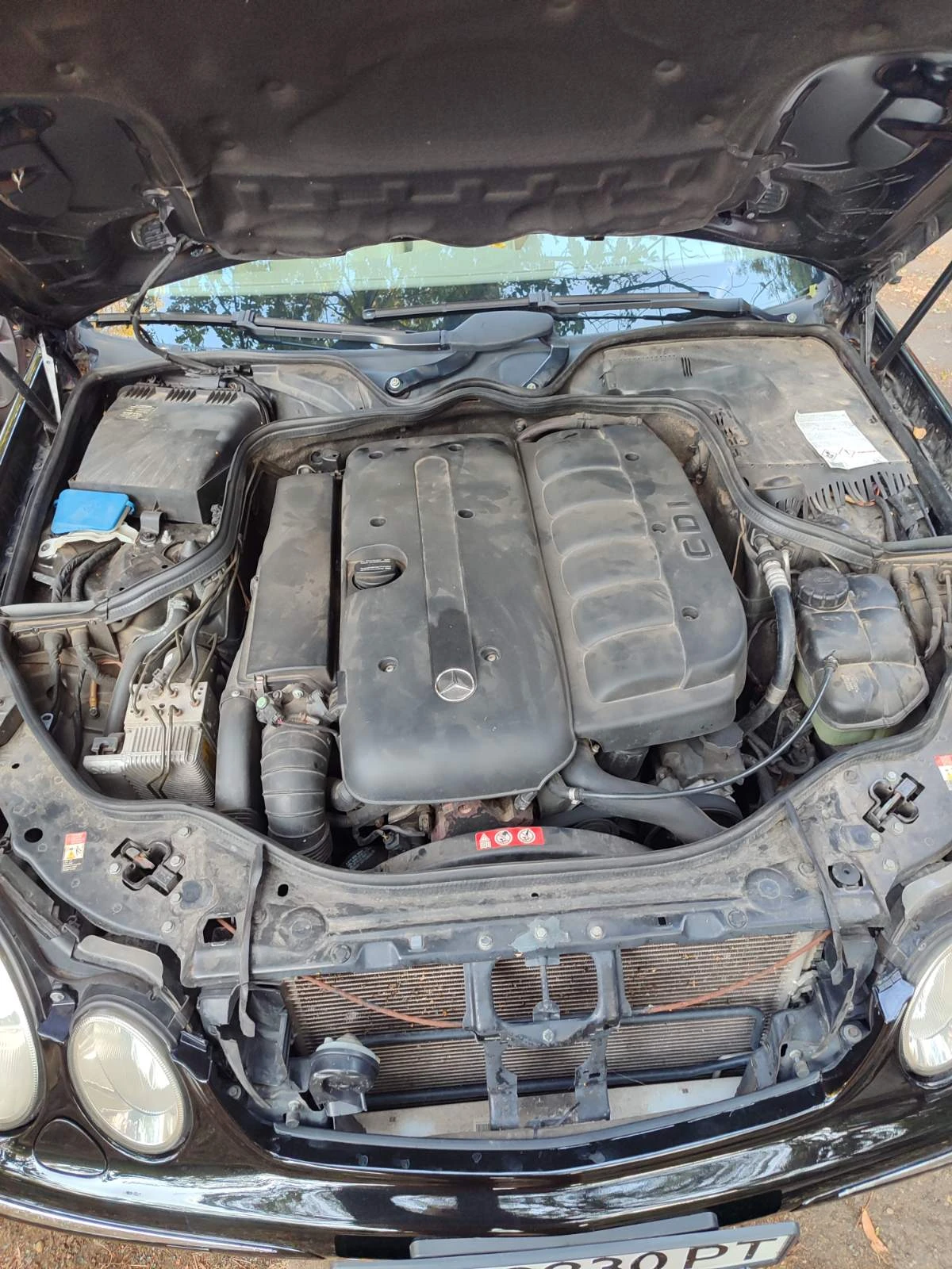Mercedes-Benz 320 | Mobile.bg � ����������� 8