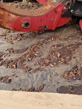 ����� �� �������� �� �����