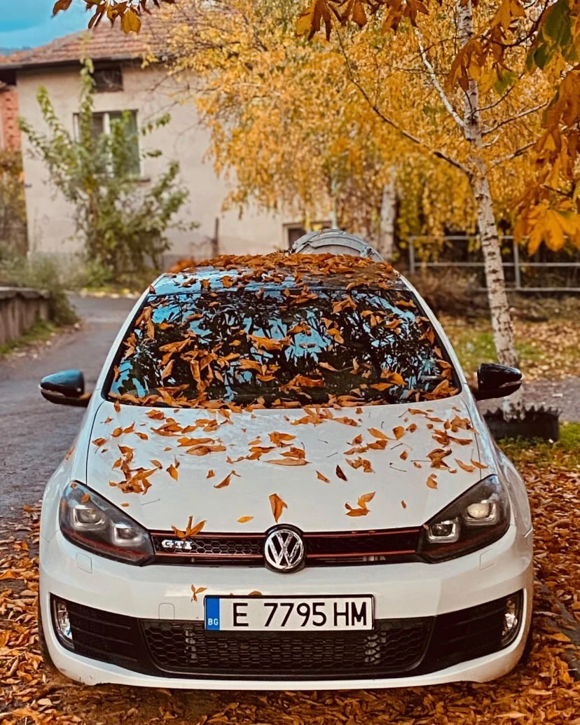VW Golf GTI | Auto.bg — изображение 1