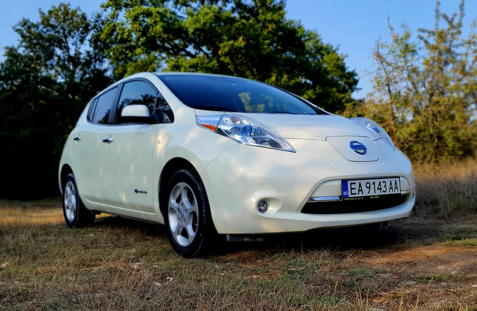 Nissan Leaf  | Mobile.bg   13