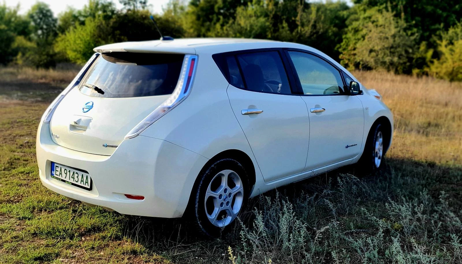 Nissan Leaf   - изображение 9
