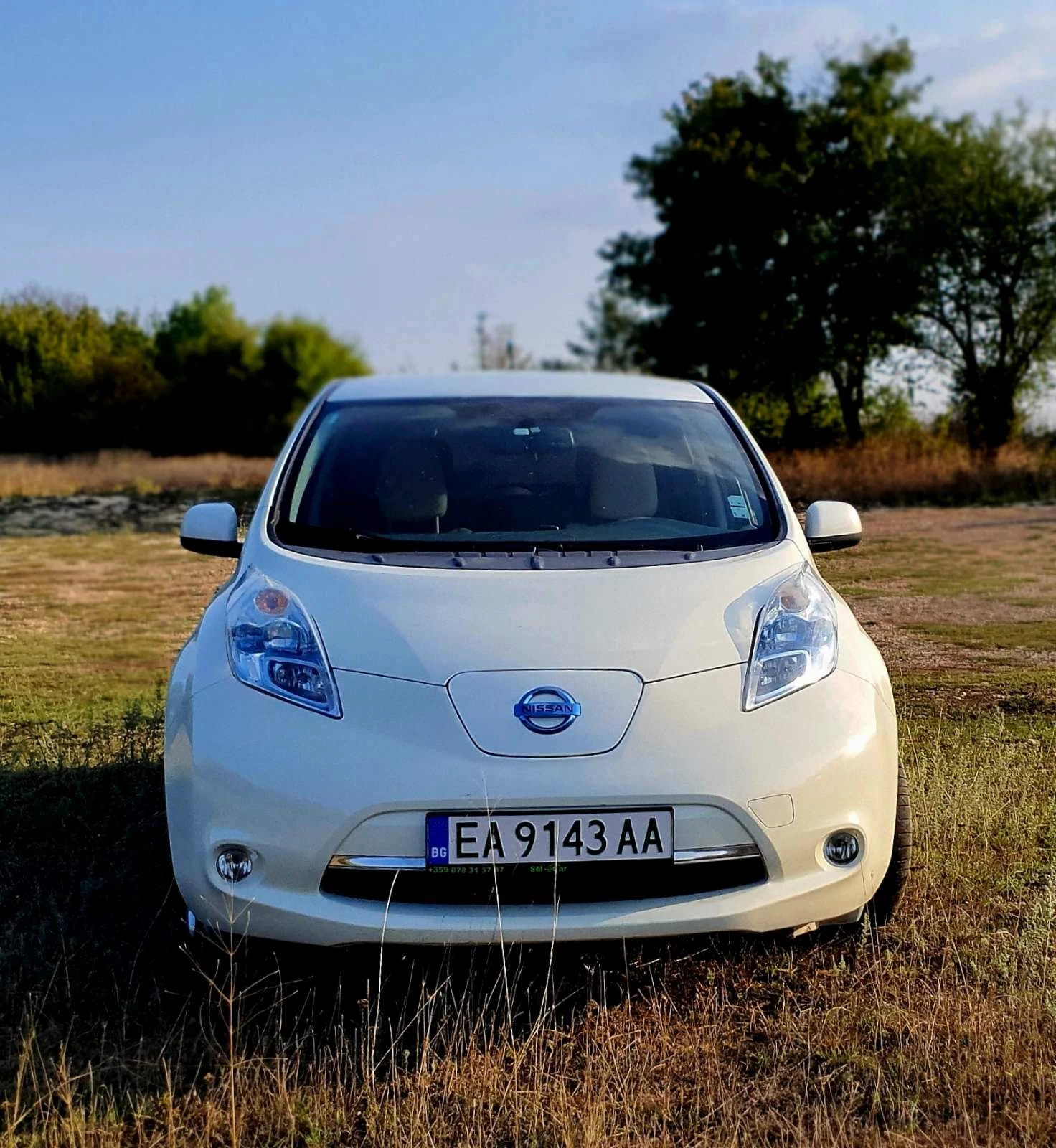 Nissan Leaf   - изображение 4