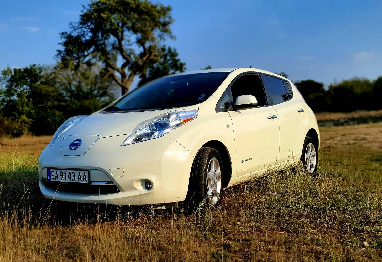 Nissan Leaf  | Mobile.bg   11