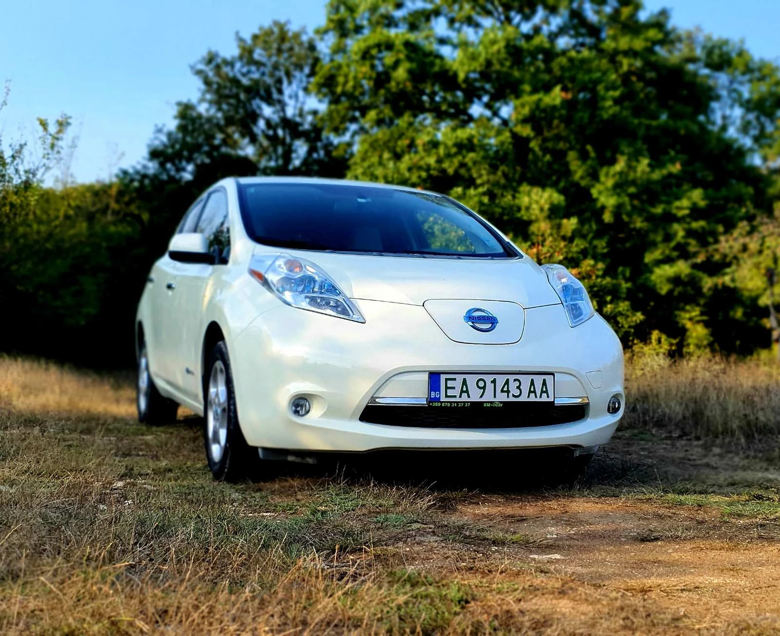 Nissan Leaf   - изображение 8