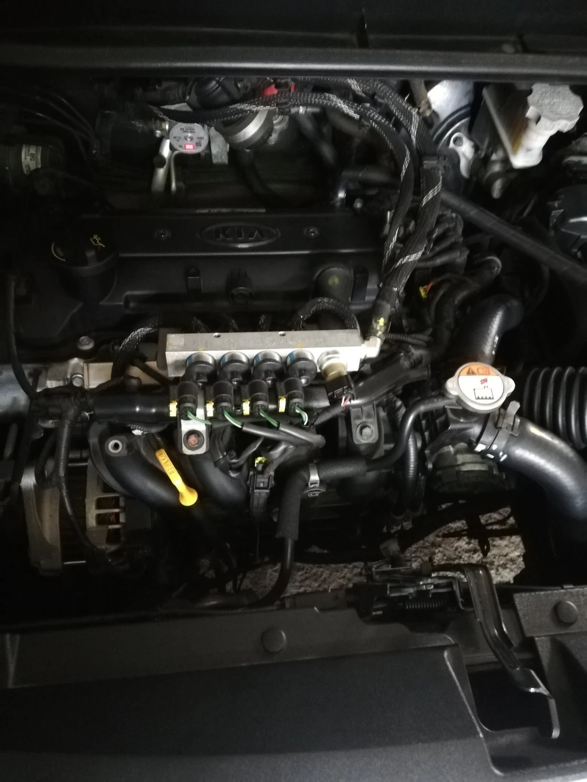 Kia Rio 1.2, снимка 15 - Автомобили и джипове - 54586789